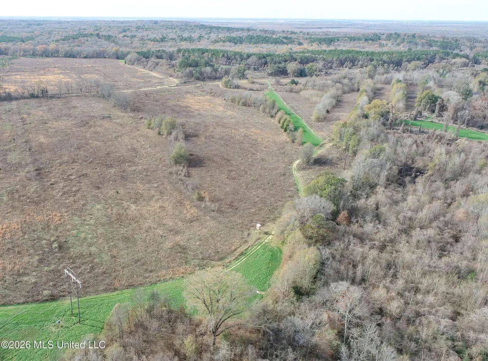 Chinqupin Road Lexington, MS 39095