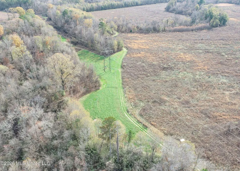 Chinqupin Road Lexington, MS 39095