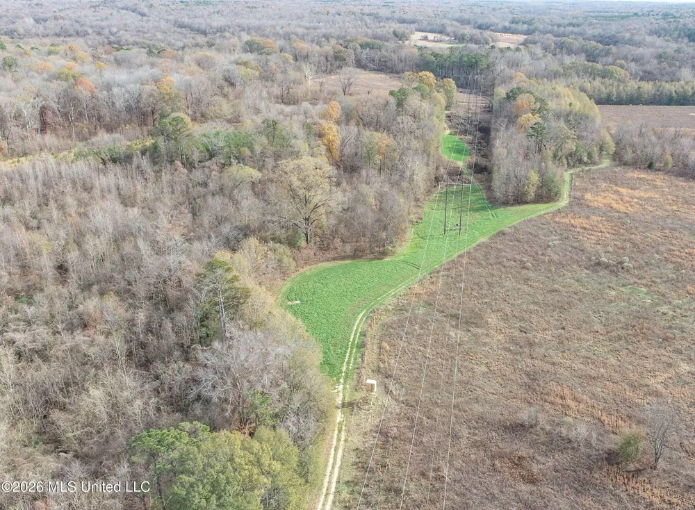 Chinqupin Road Lexington, MS 39095