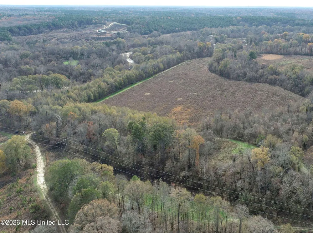 Chinqupin Road Lexington, MS 39095