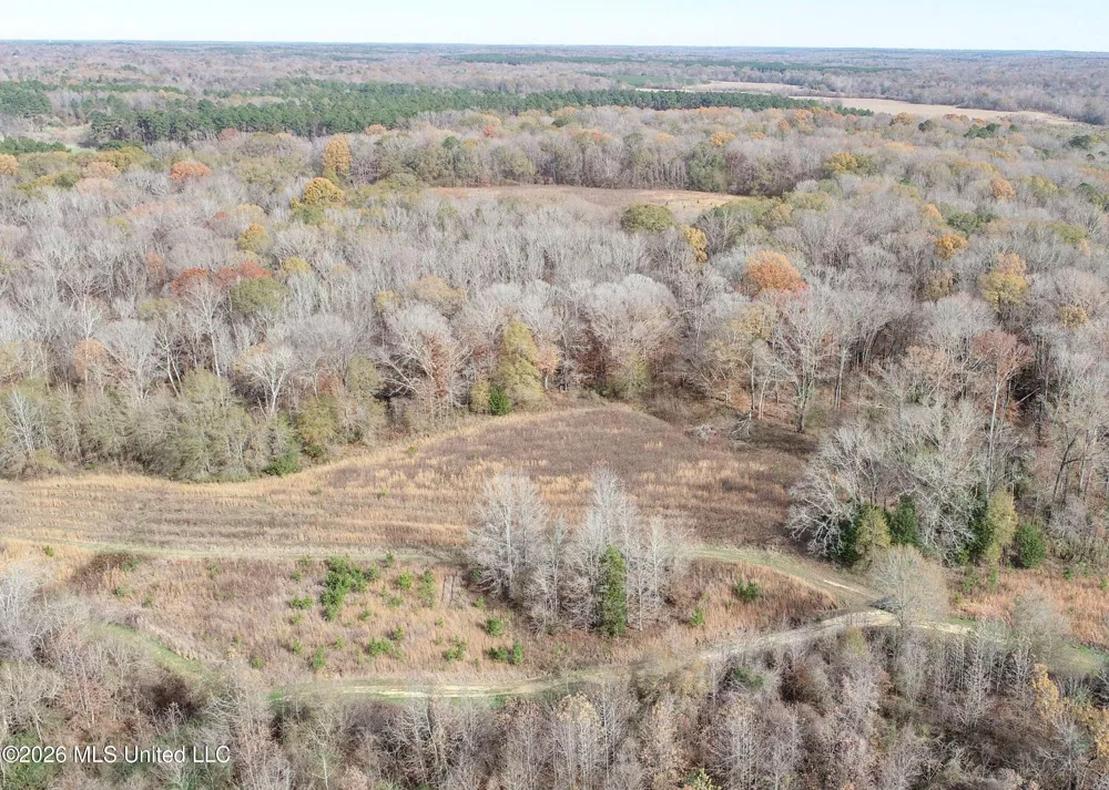 Chinqupin Road Lexington, MS 39095