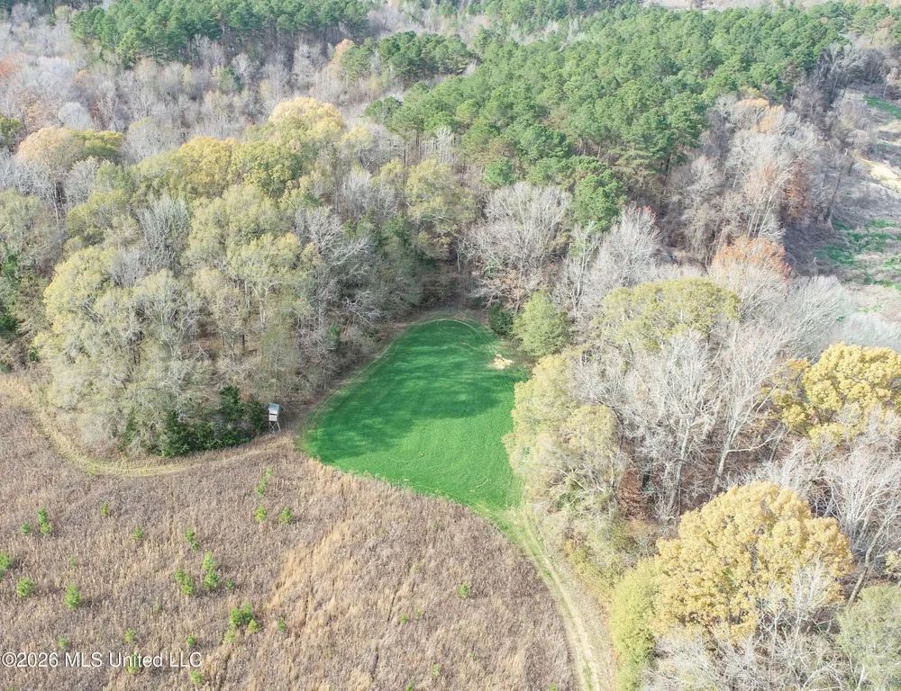 Chinqupin Road Lexington, MS 39095