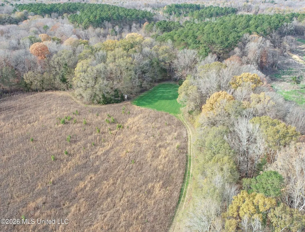Chinqupin Road Lexington, MS 39095