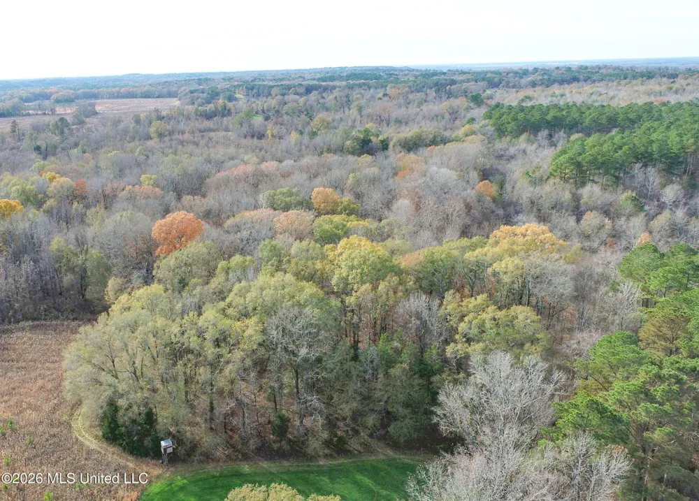 Chinqupin Road Lexington, MS 39095