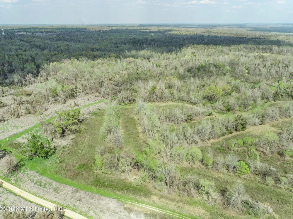 Chinqupin Road Lexington, MS 39095