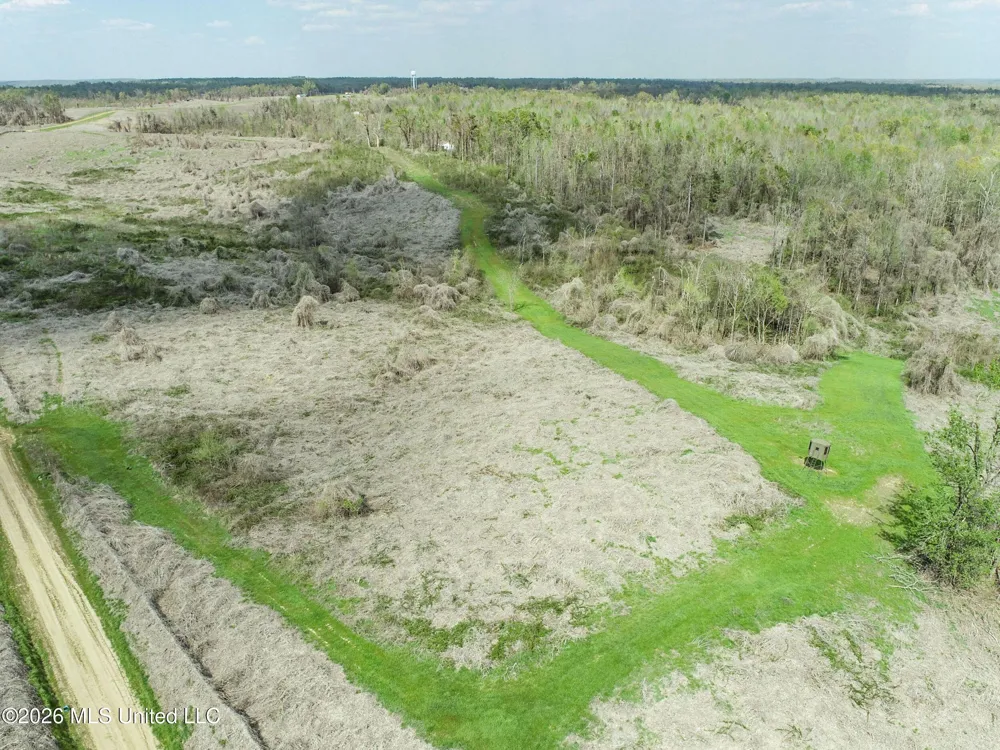 Chinqupin Road Lexington, MS 39095