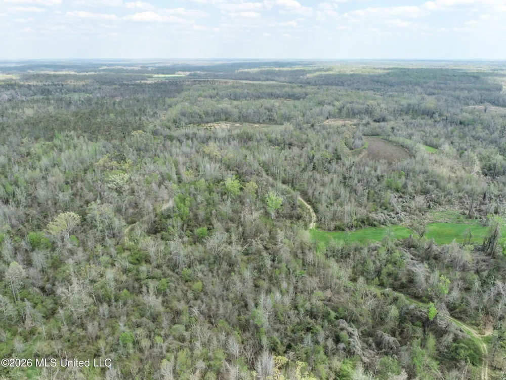 Chinqupin Road Lexington, MS 39095