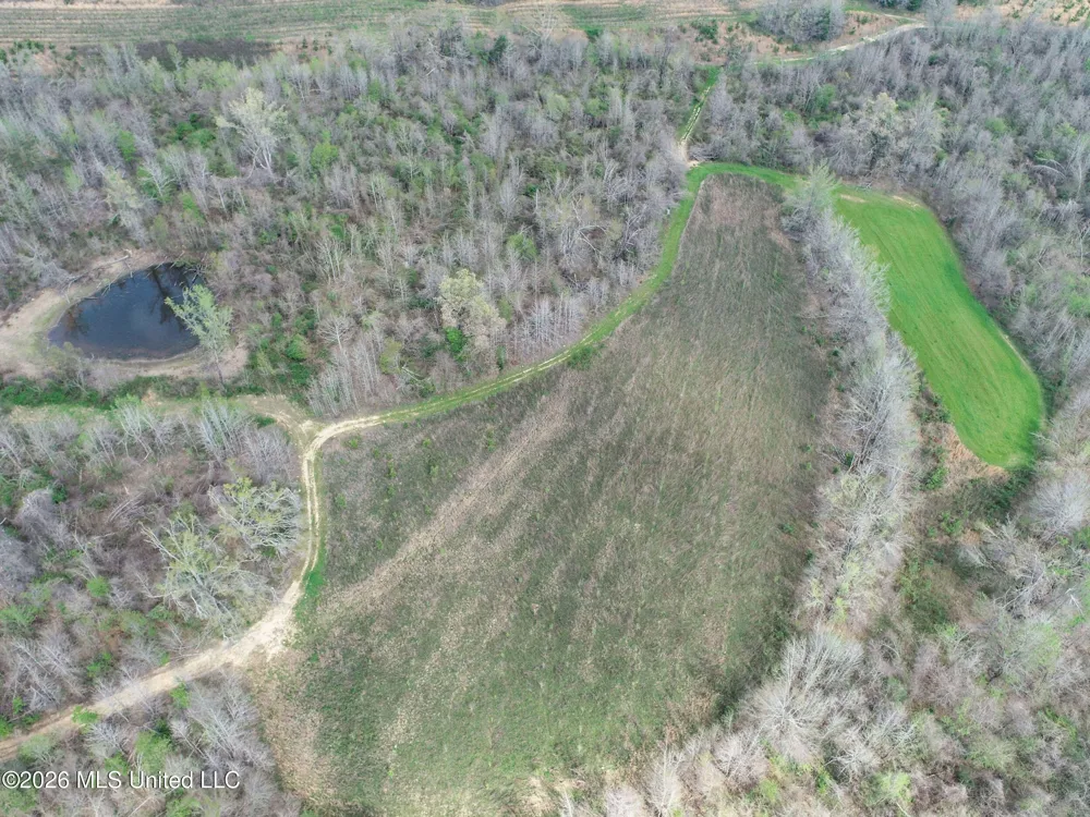 Chinqupin Road Lexington, MS 39095