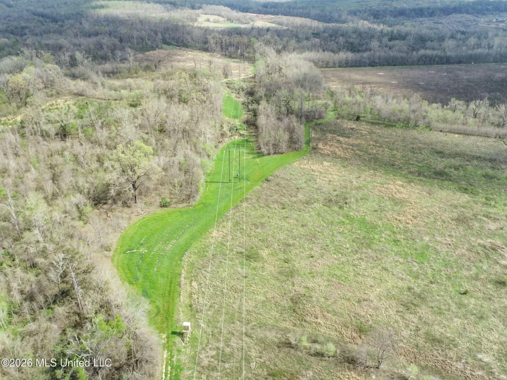 Chinqupin Road Lexington, MS 39095