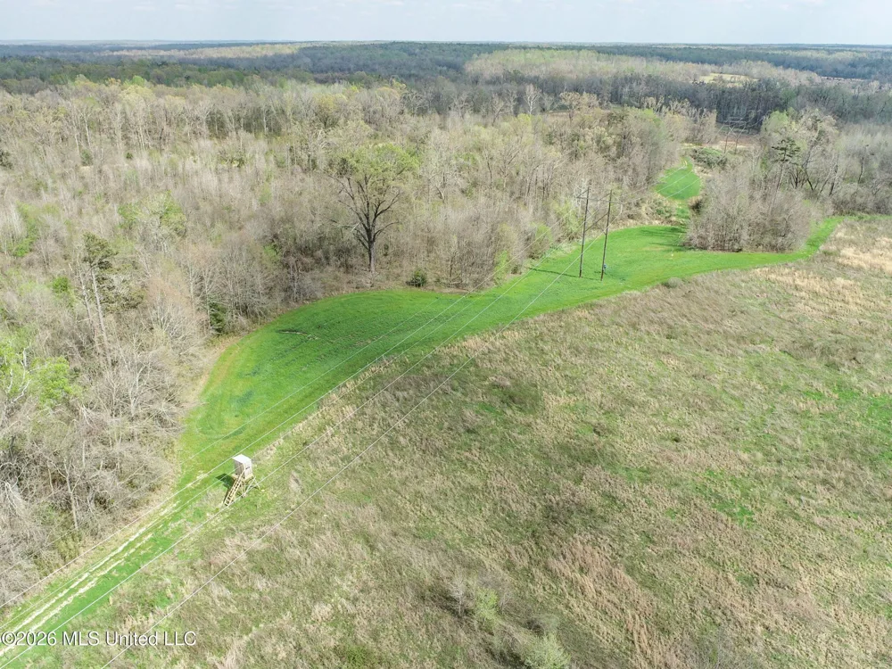 Chinqupin Road Lexington, MS 39095
