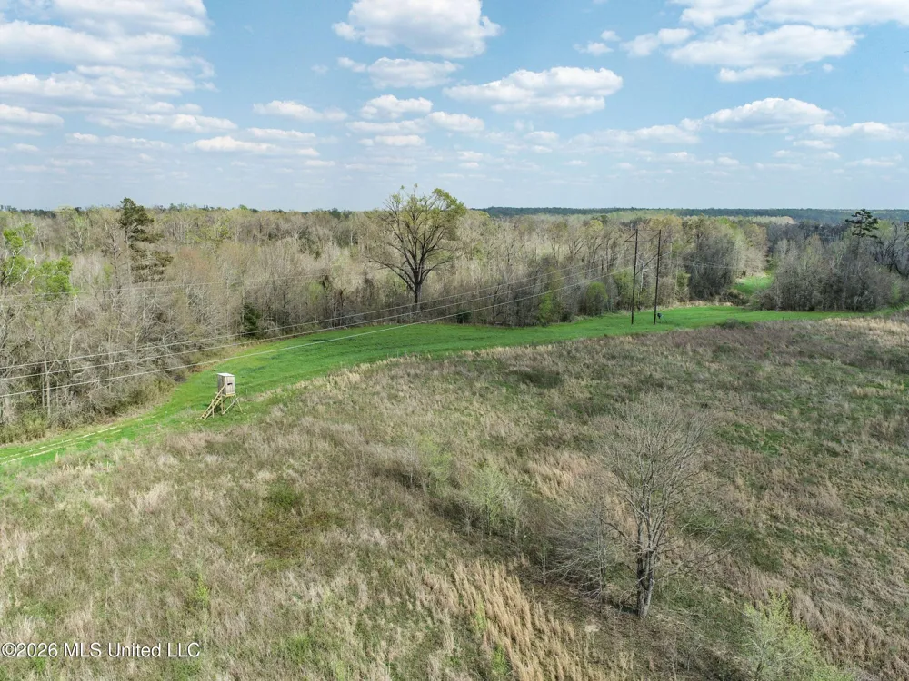 Chinqupin Road Lexington, MS 39095