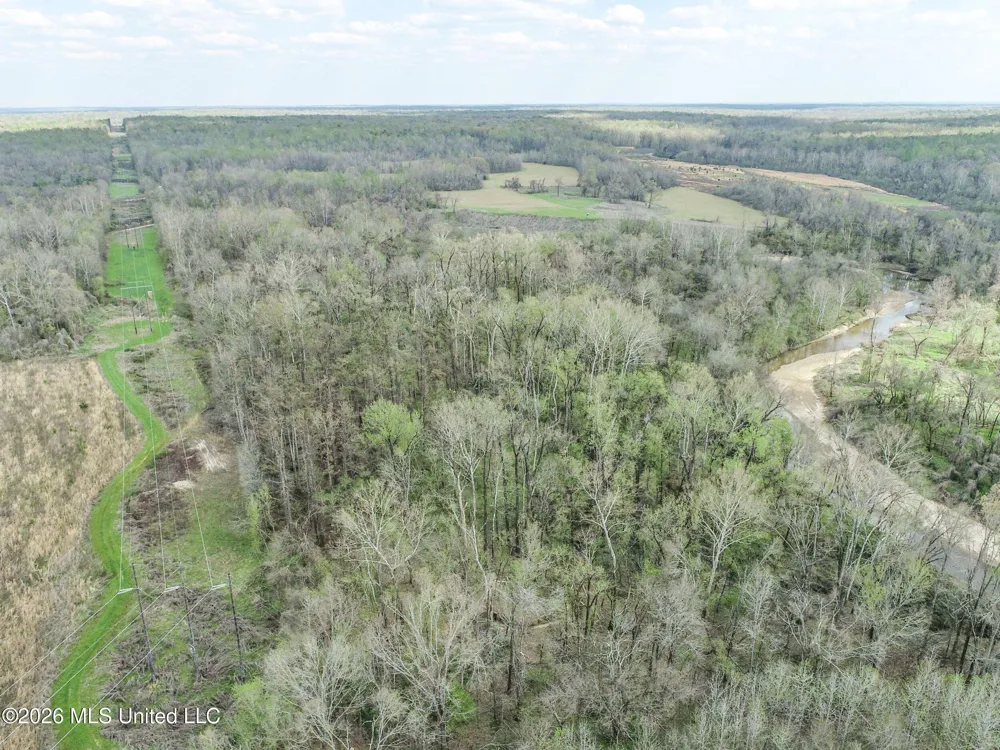 Chinqupin Road Lexington, MS 39095