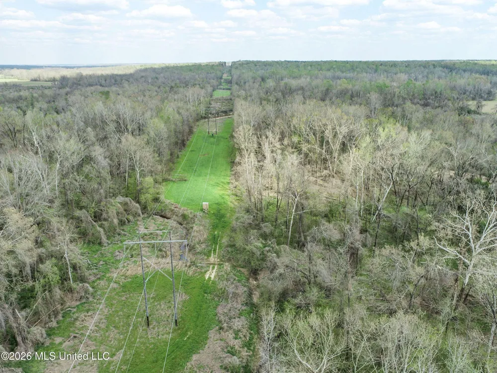 Chinqupin Road Lexington, MS 39095