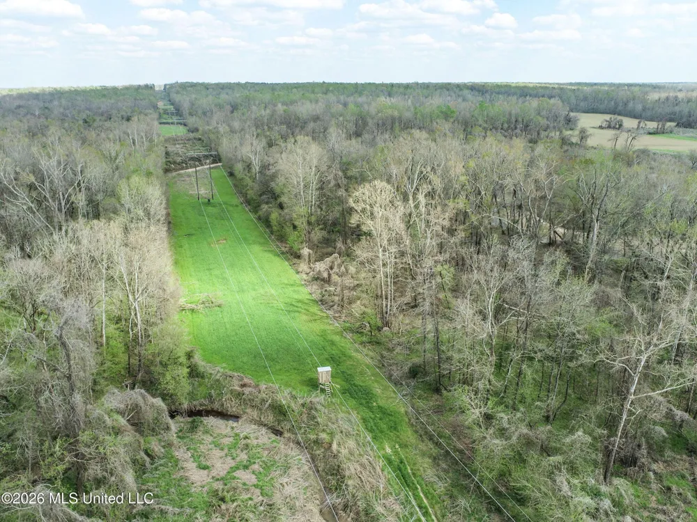 Chinqupin Road Lexington, MS 39095