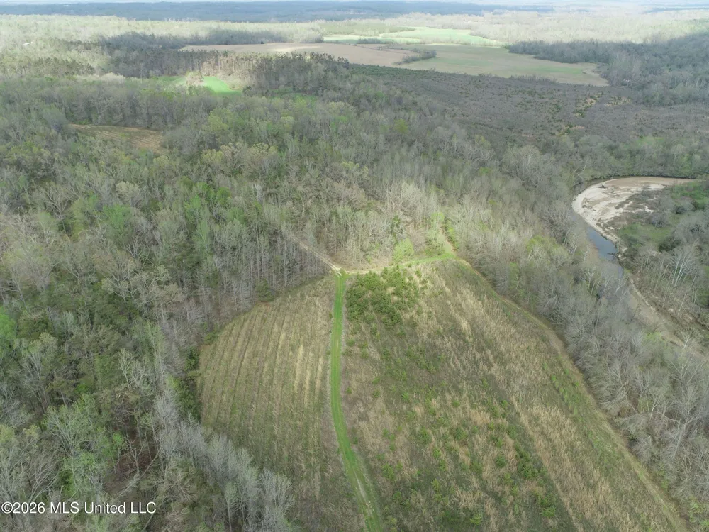 Chinqupin Road Lexington, MS 39095