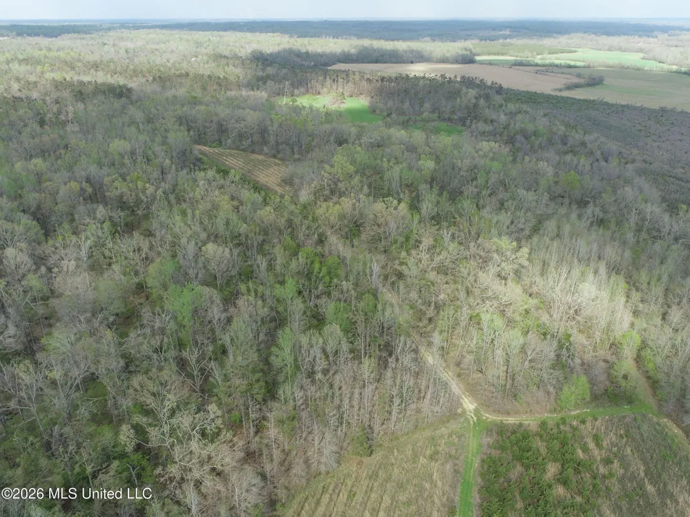 Chinqupin Road Lexington, MS 39095