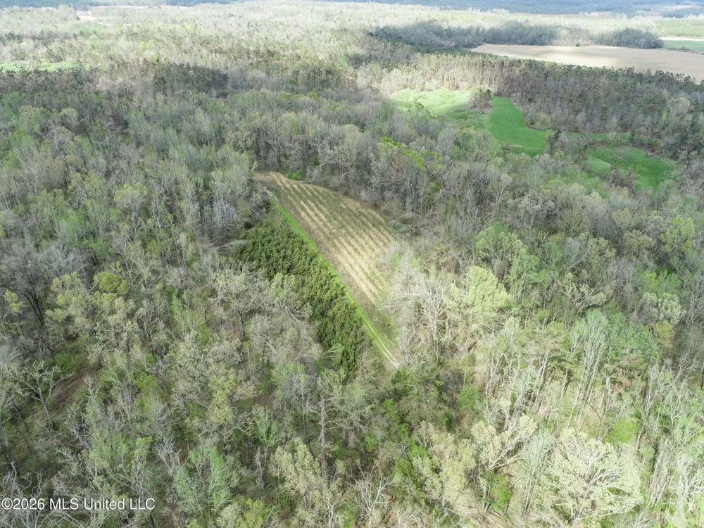 Chinqupin Road Lexington, MS 39095