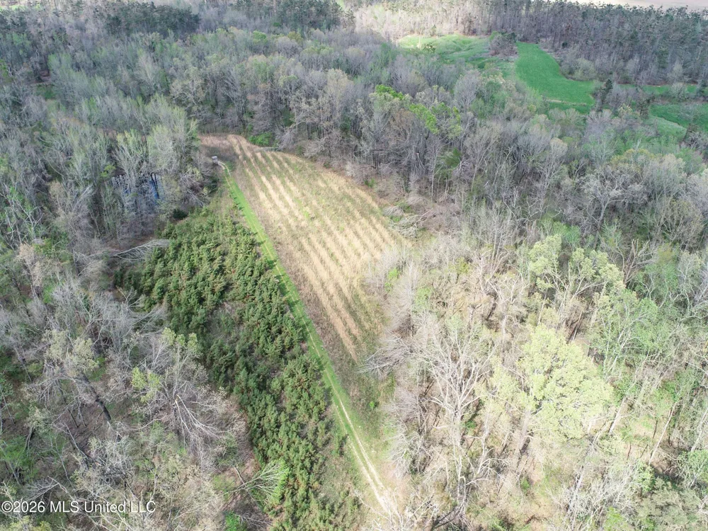 Chinqupin Road Lexington, MS 39095