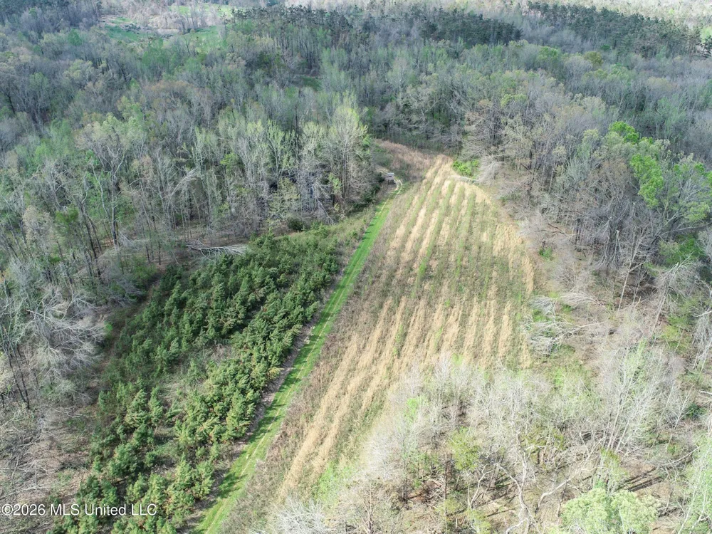 Chinqupin Road Lexington, MS 39095