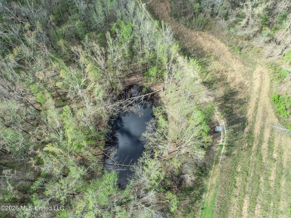 Chinqupin Road Lexington, MS 39095