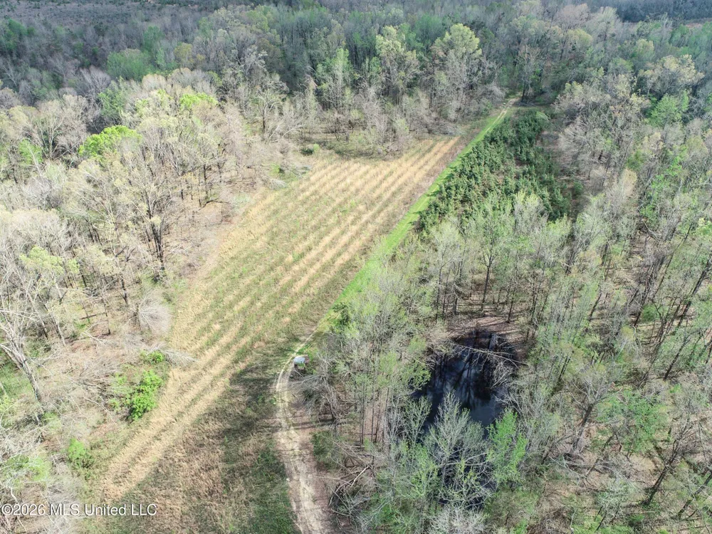 Chinqupin Road Lexington, MS 39095