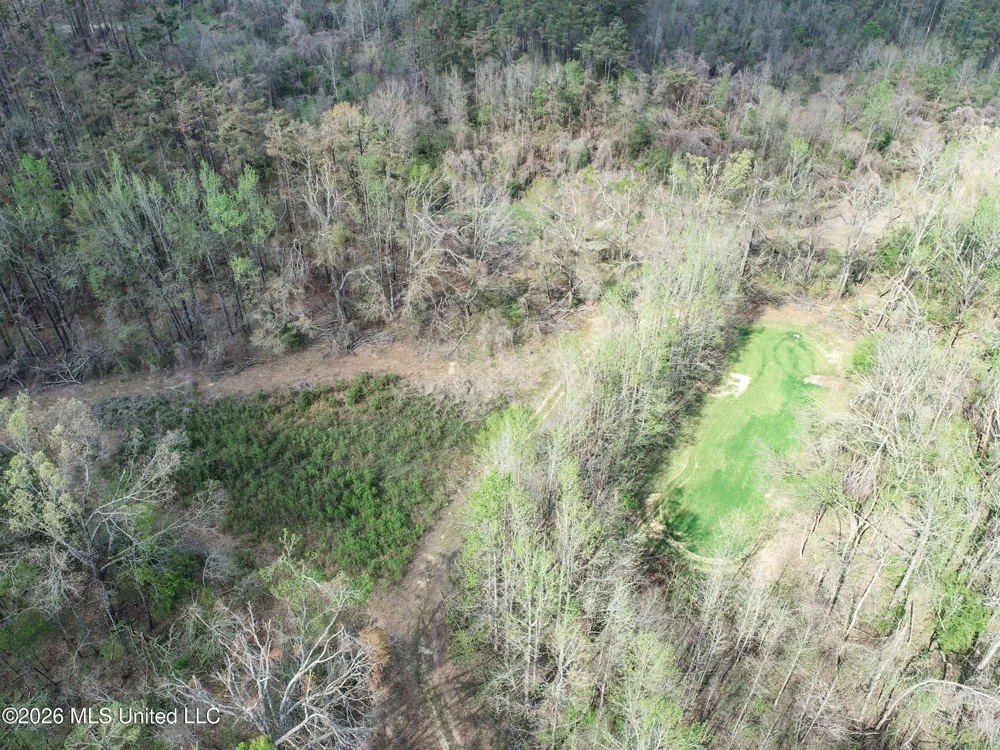 Chinqupin Road Lexington, MS 39095
