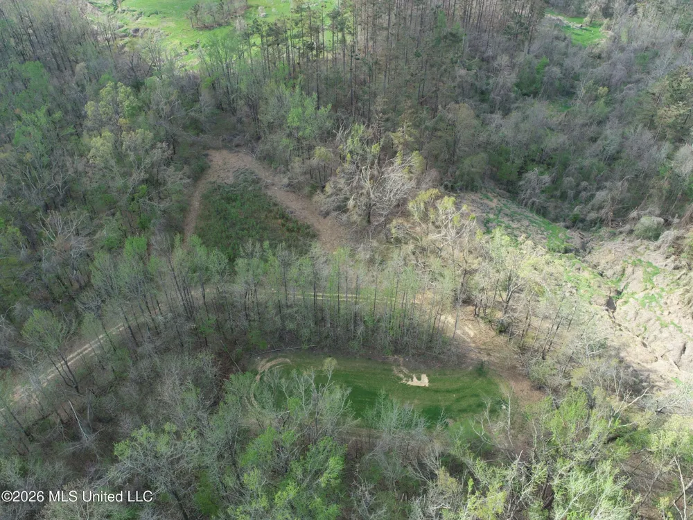 Chinqupin Road Lexington, MS 39095
