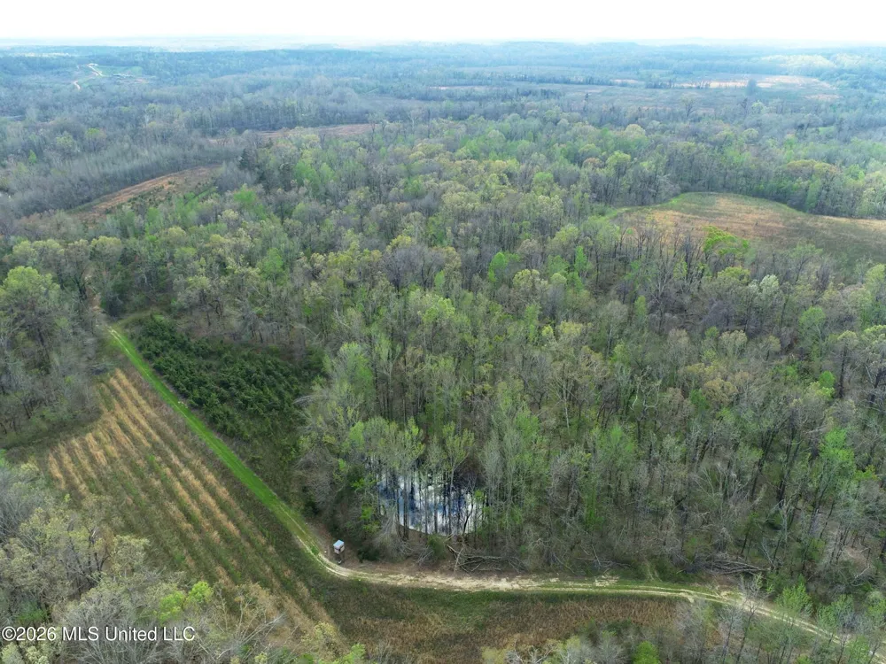 Chinqupin Road Lexington, MS 39095