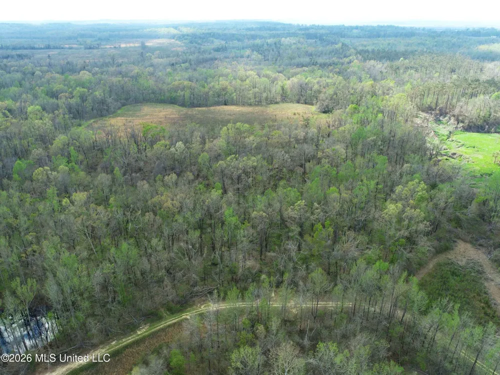 Chinqupin Road Lexington, MS 39095