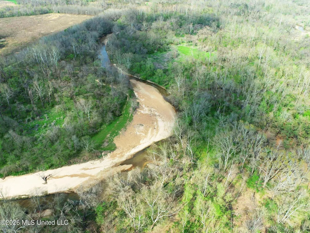 Chinqupin Road Lexington, MS 39095