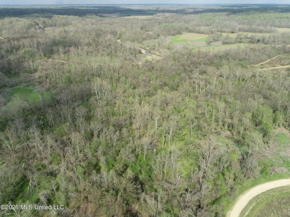 Chinqupin Road Lexington, MS 39095
