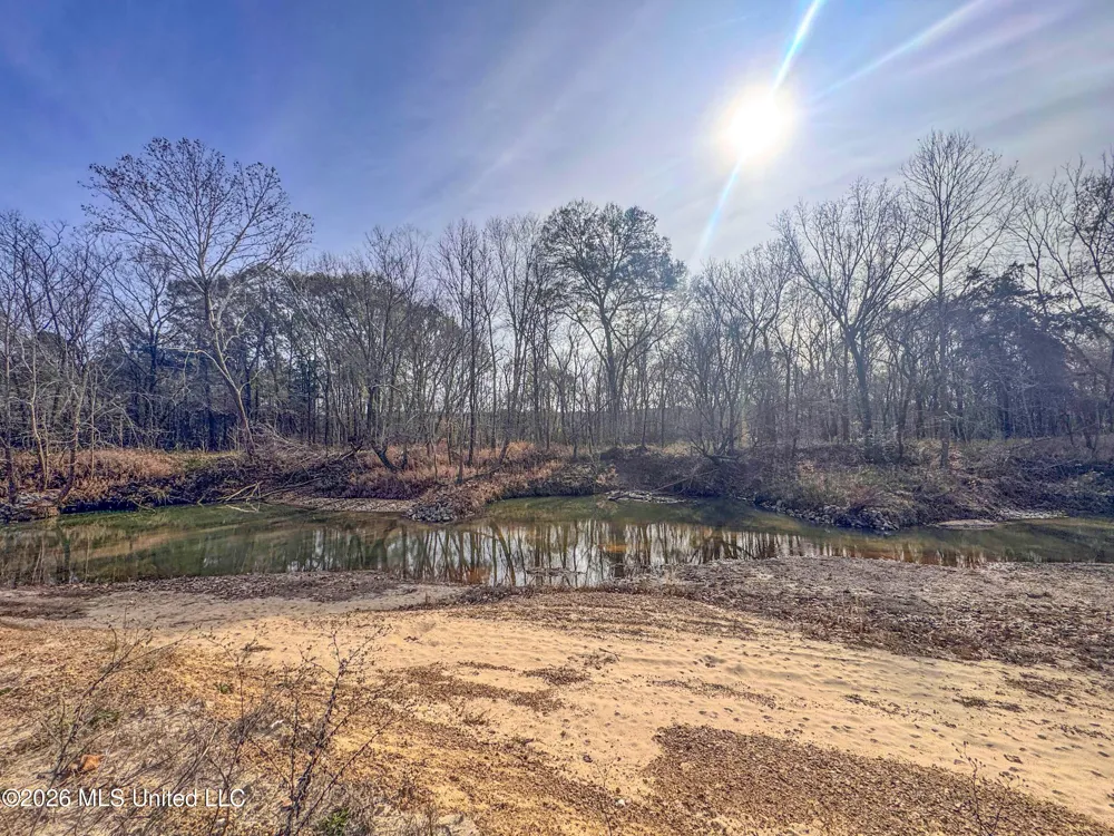 Chinqupin Road Lexington, MS 39095