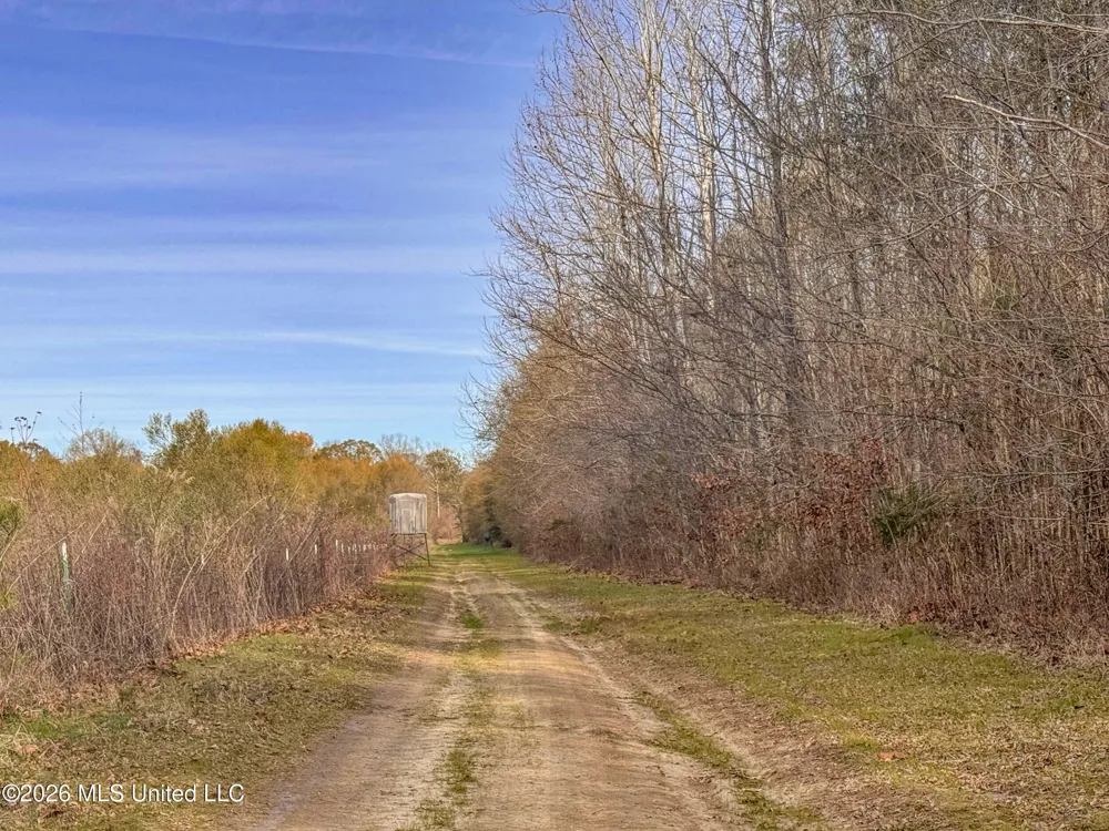 Chinqupin Road Lexington, MS 39095