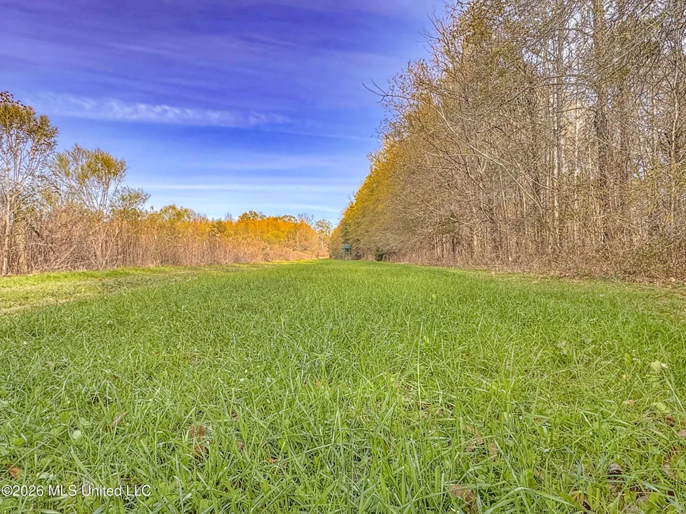 Chinqupin Road Lexington, MS 39095