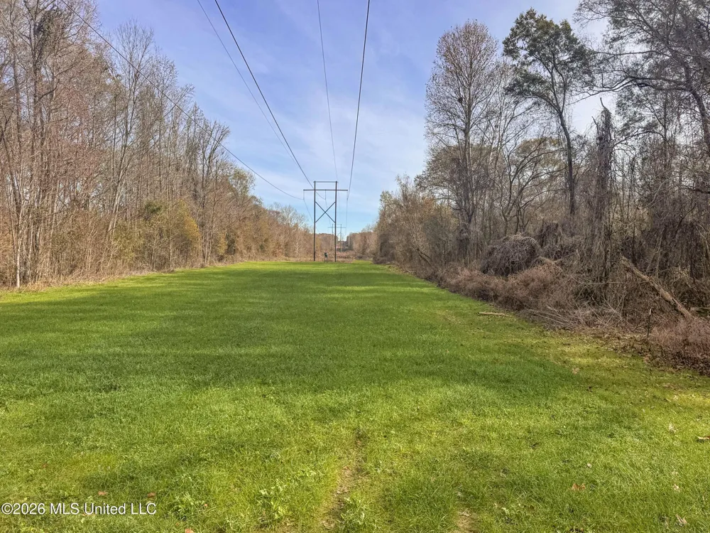 Chinqupin Road Lexington, MS 39095