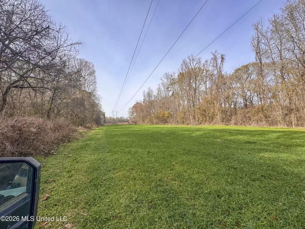 Chinqupin Road Lexington, MS 39095