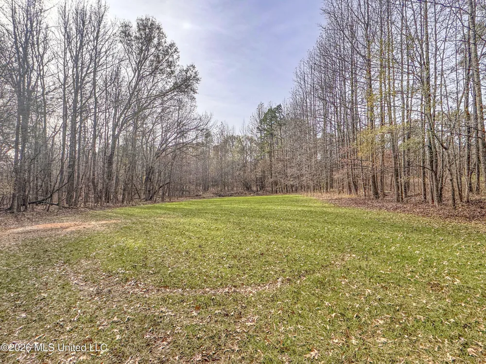 Chinqupin Road Lexington, MS 39095
