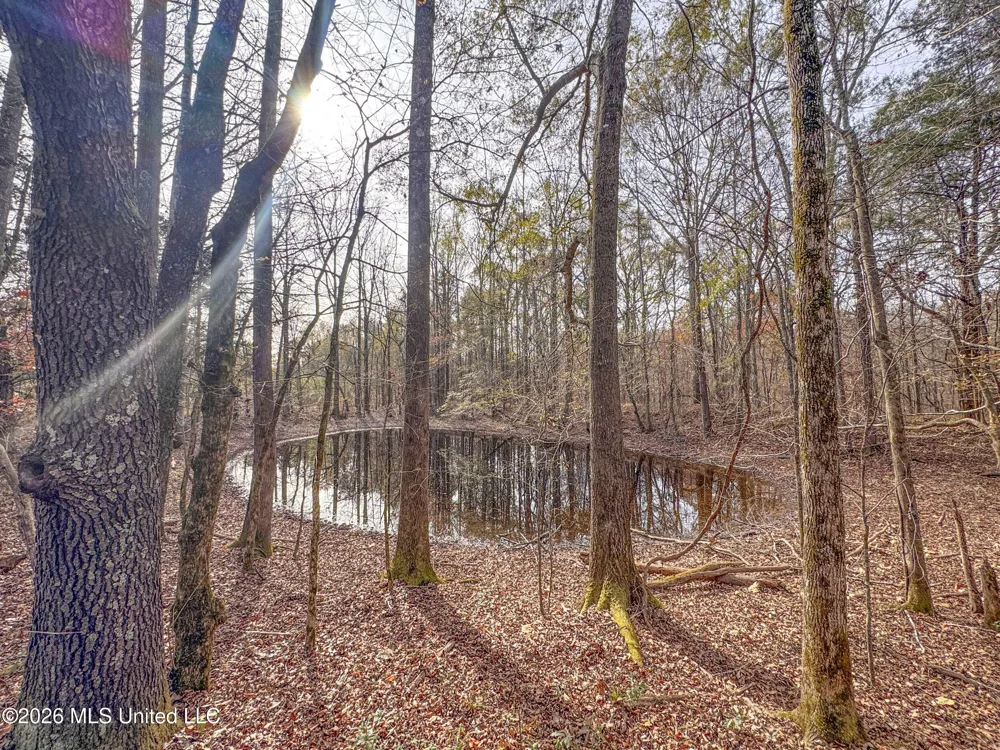 Chinqupin Road Lexington, MS 39095
