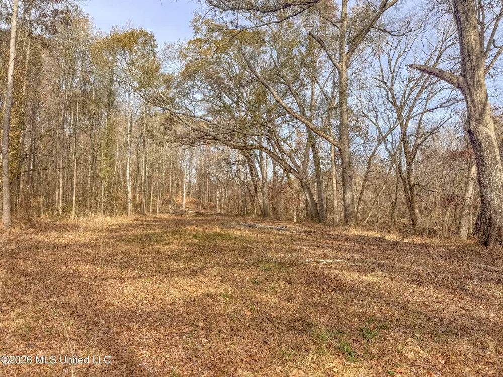 Chinqupin Road Lexington, MS 39095