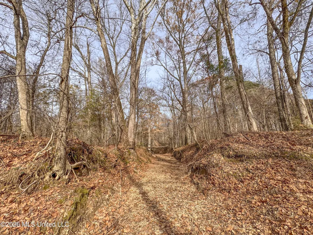 Chinqupin Road Lexington, MS 39095