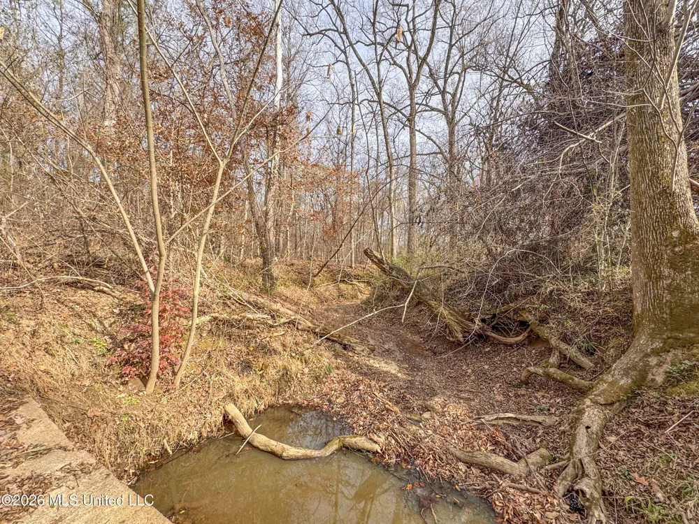 Chinqupin Road Lexington, MS 39095