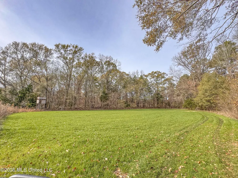 Chinqupin Road Lexington, MS 39095