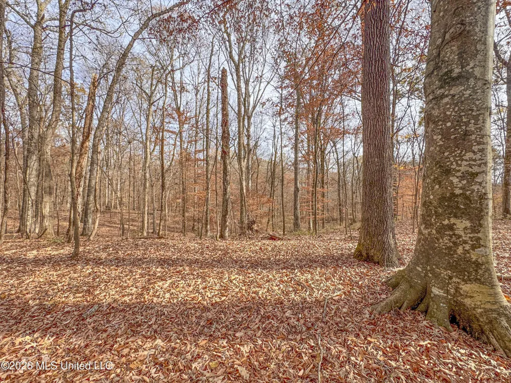 Chinqupin Road Lexington, MS 39095