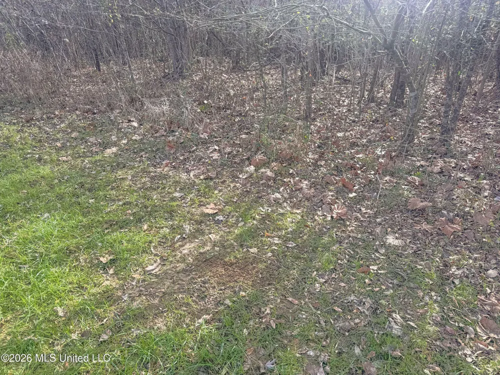 Chinqupin Road Lexington, MS 39095