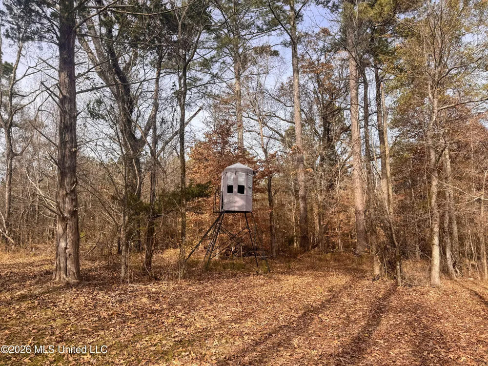 Chinqupin Road Lexington, MS 39095