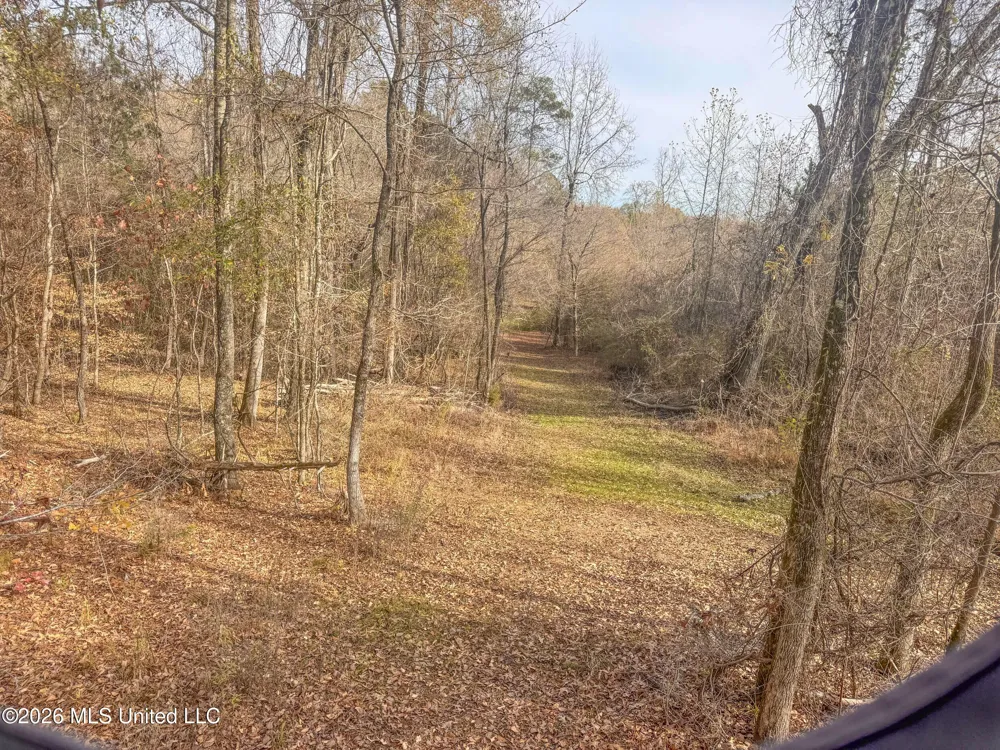 Chinqupin Road Lexington, MS 39095