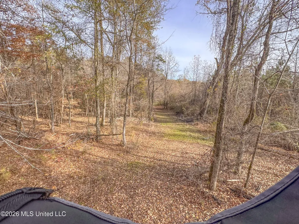 Chinqupin Road Lexington, MS 39095