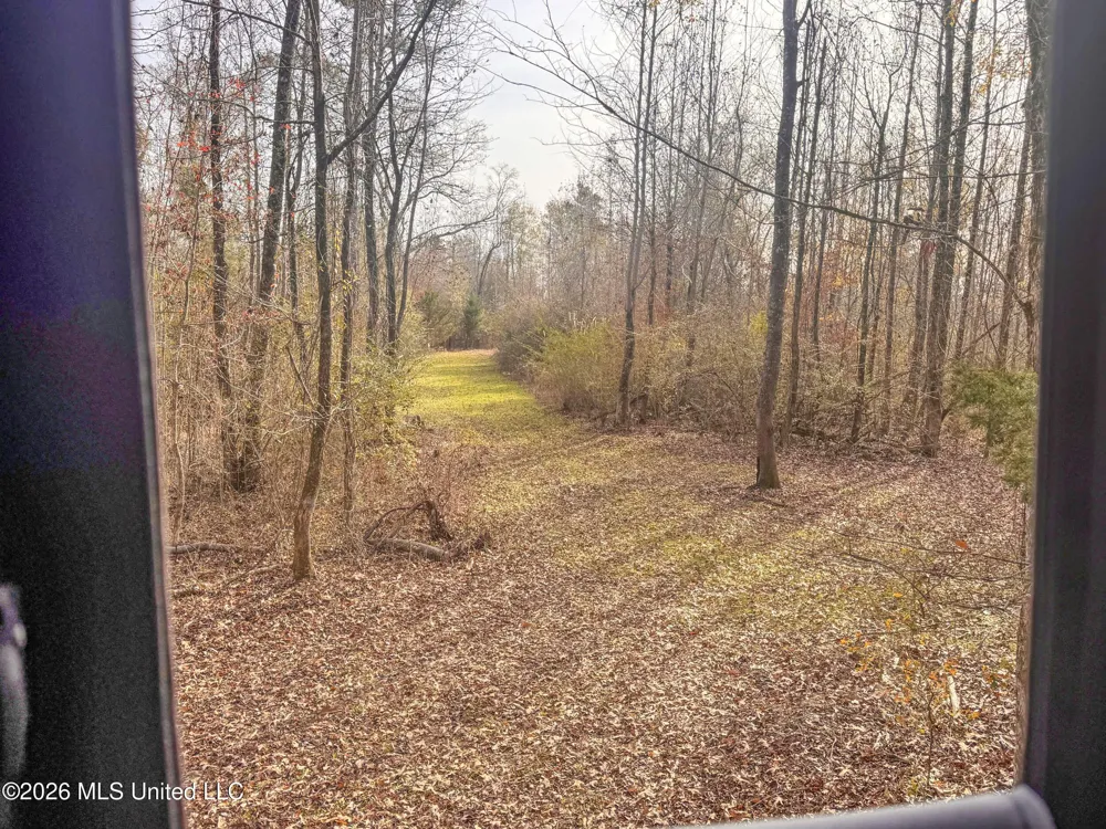 Chinqupin Road Lexington, MS 39095