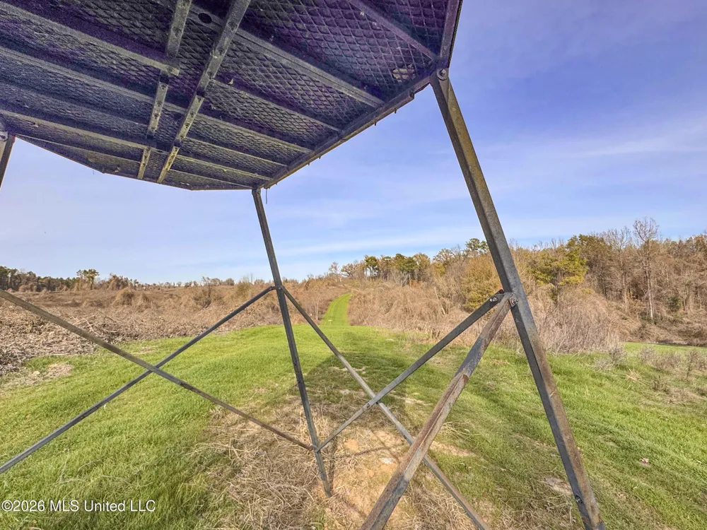 Chinqupin Road Lexington, MS 39095