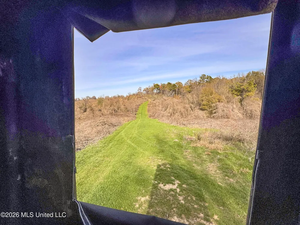 Chinqupin Road Lexington, MS 39095